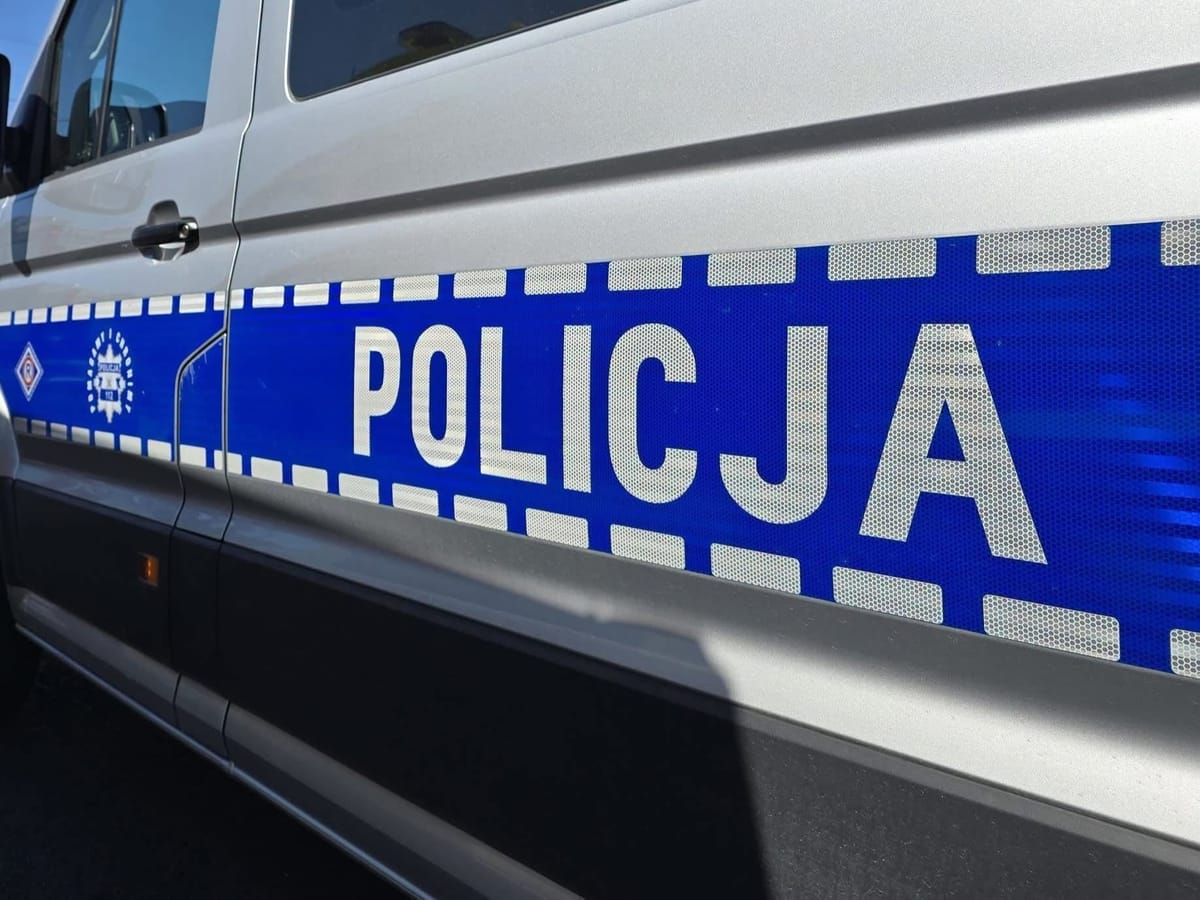 3-latek błąkał się przy ruchliwej ulicy. W mieszkaniu pijana matka, dwoje zaniedbanych dzieci i pies w fatalnym stanie Zdjęcie główne wpisu