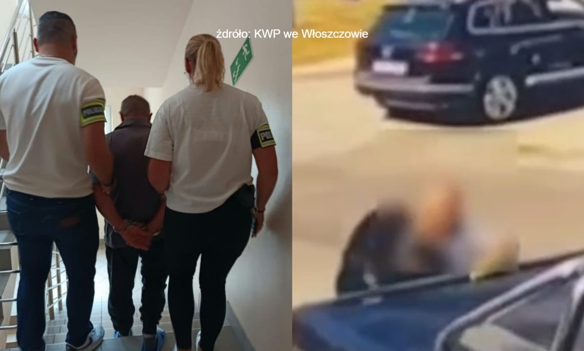 Nietrzeźwy 64-latek wyrzucił psa do kosza na śmieci. Monitoring pozwolił policji szybko ująć sprawcę Zdjęcie główne wpisu