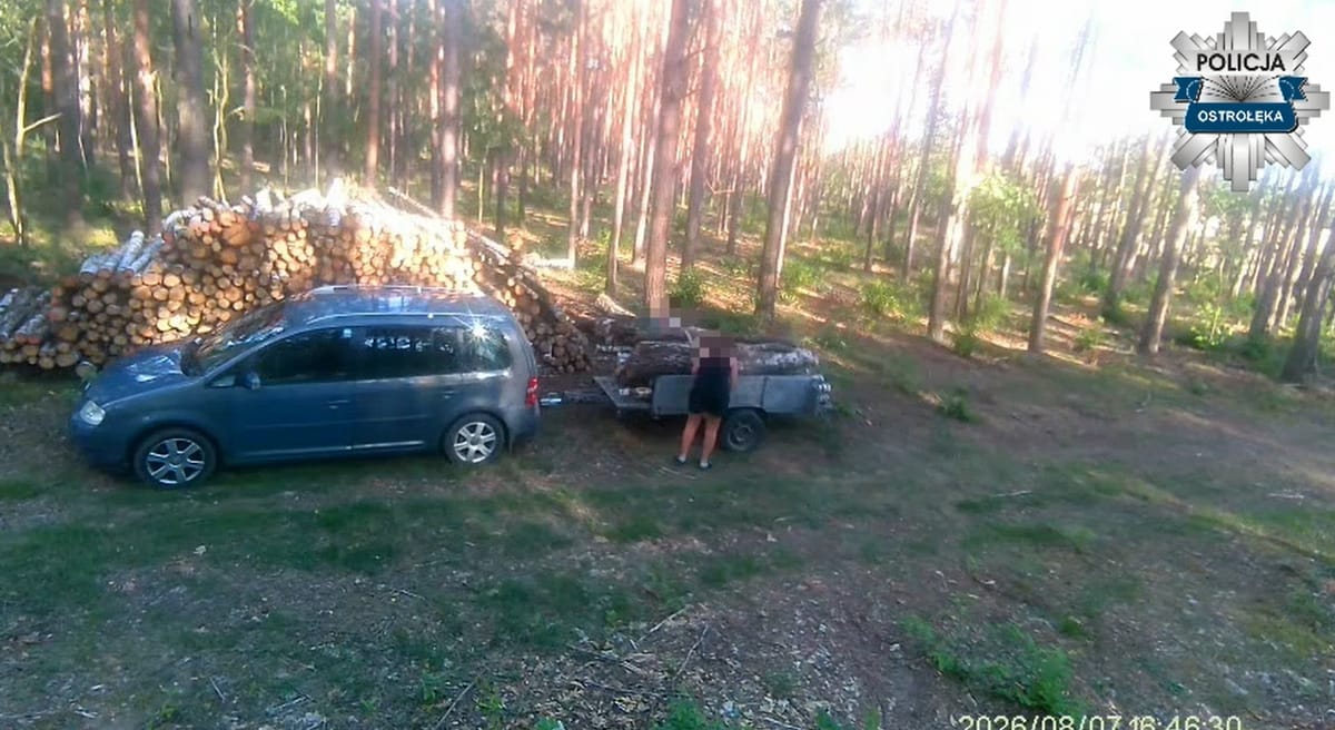 Para kradła drewno z prywatnego lasu. Nie wiedzieli, że są pod okiem fotopułapki Zdjęcie główne wpisu