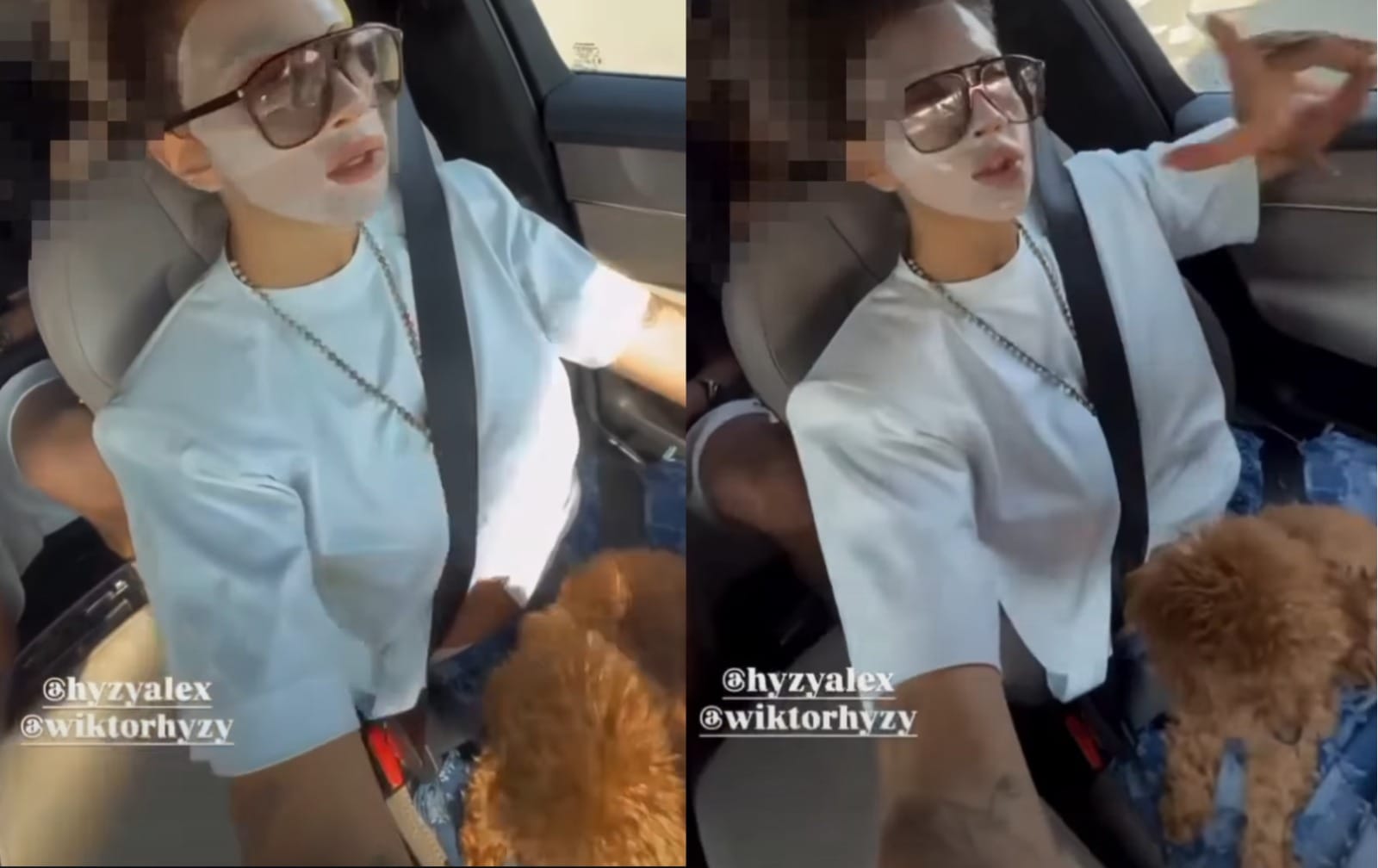 Pies na kolanach, telefon w ręce! Tak Maja Hyży prowadzi samochód, nagrywając relację na Instagramie Zdjęcie główne wpisu
