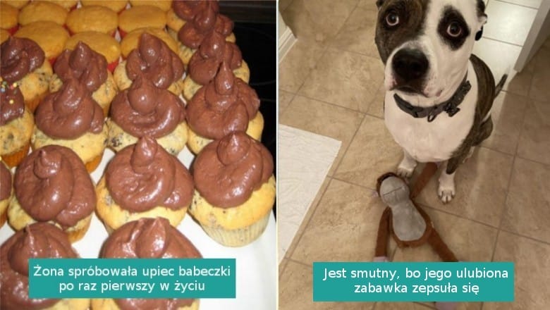 16 zdjęć, które wzbudzają współczucie i potrzebę pocieszenie tych pechowców Zdjęcie wpisu