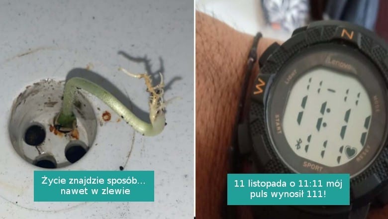 18 zdjęć pokazujących, że świat ciągle jest pełen niespodzianek Zdjęcie wpisu