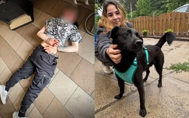 21-letni obywatel Ukrainy znęcał się nad psem, wszystko zostało nagrane. Został zatrzymany i grozi mu 3 lata więzienia Zdjęcie wpisu