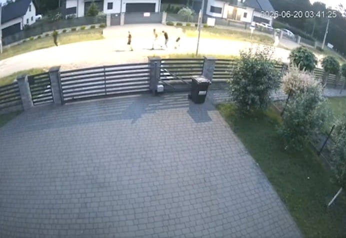 Atak na sześciu obcokrajowców na osiedlu w Mielcu. Mieszkańcy mają dość organizowanych w pobliżu imprez Zdjęcie wpisu