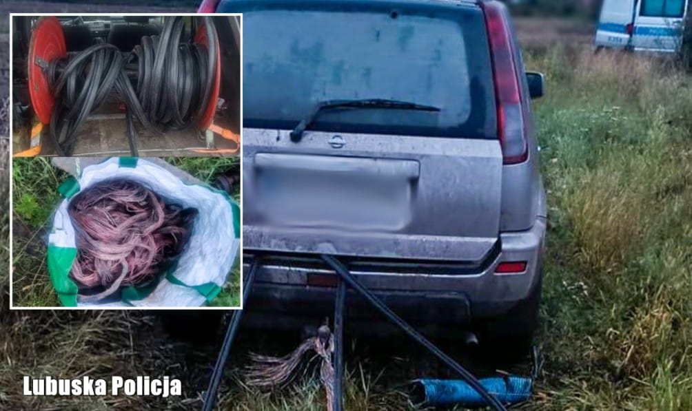 Wpadł na kradzieży kabli i próbował się wykupić. Zaoferował policjantom 4 tysiące, żeby go puścili Zdjęcie wpisu