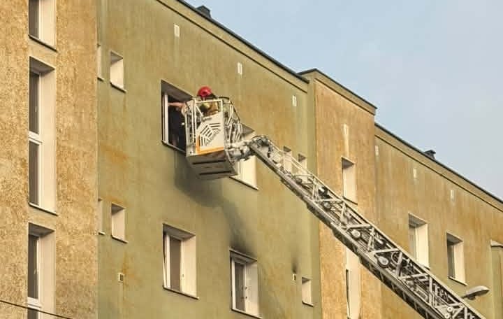 Pies wył przez cztery dni w pustym mieszkaniu w Szczecinie. Był przywiązany do łóżka, bez wody i jedzenia Zdjęcie wpisu