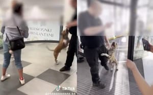Krzyczała „Bierz go" i szczuła psem w Galerii Młociny. Pies nie był jej, a kobieta trafiła do szpitala Zdjęcie główne wpisu