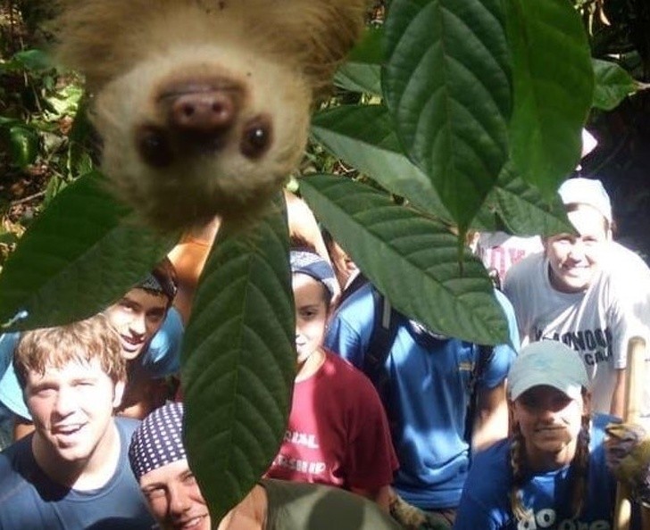 Fotobomba