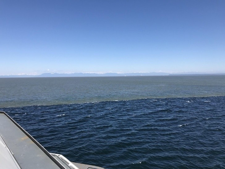 Spotkanie dwóch oceanów