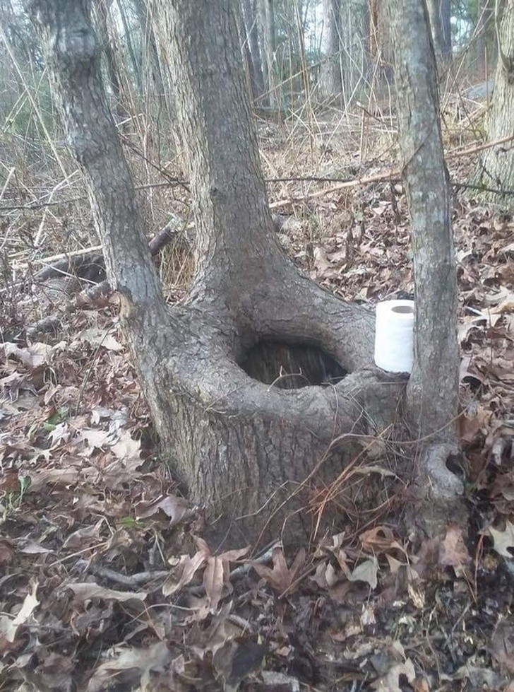 Przydatne