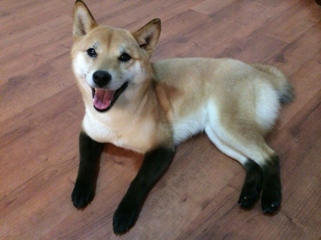 Nowe skarpetki