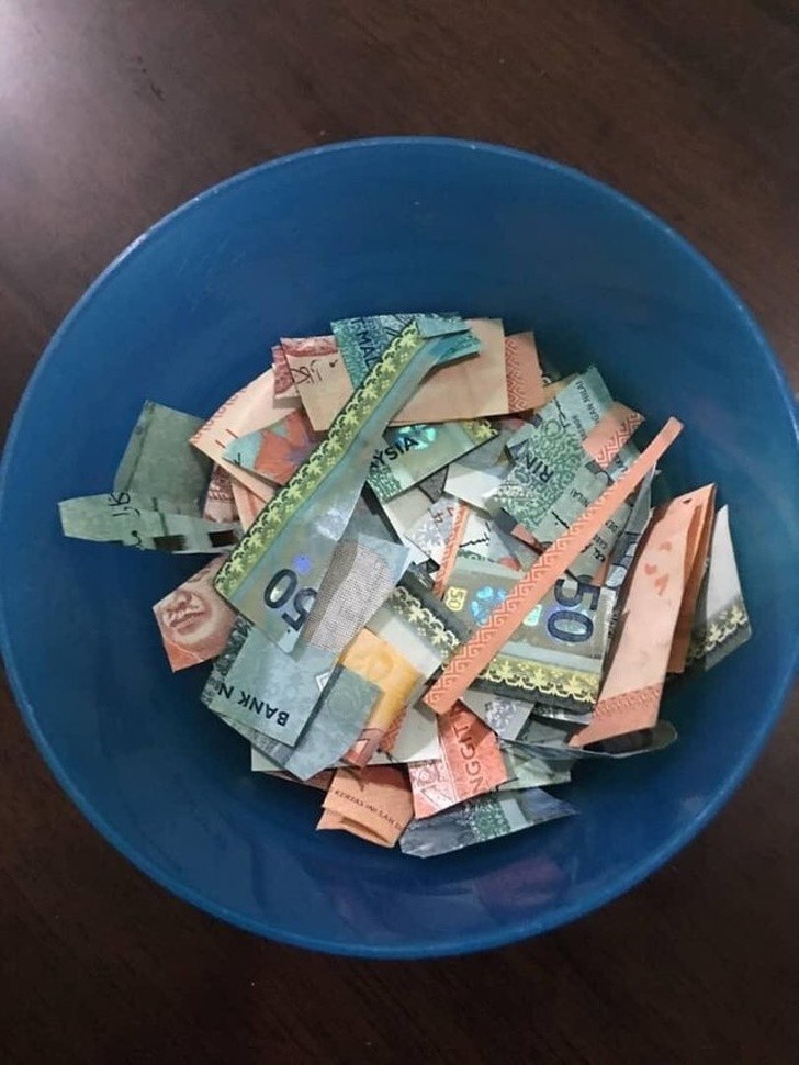 Synek mojego kuzyna przyniósł pocięta miseczkę banknotów i powiedział, że On gotuje