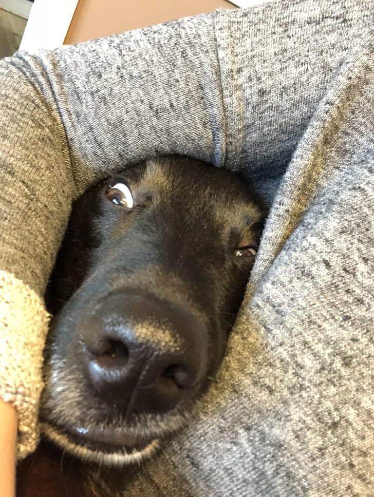 Hello