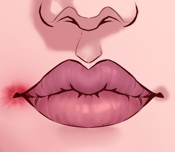 1. Zajady