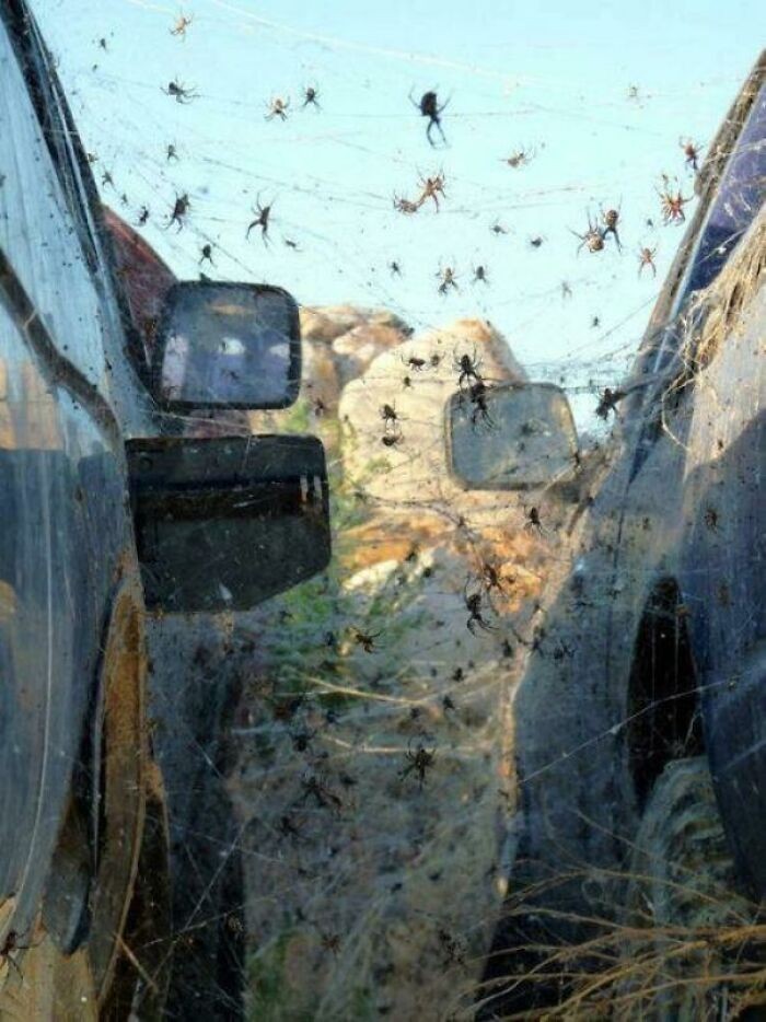 W sumie mogę pojechać autobusem