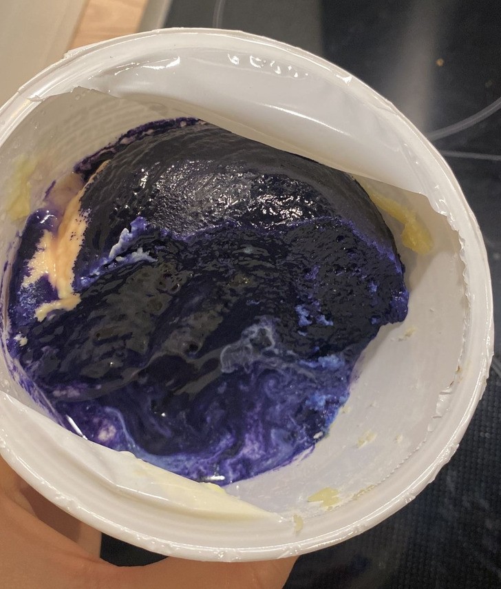 "Mój stary, zapomniany serek ricotta w lodówce zmienił kolor na purpurowy."