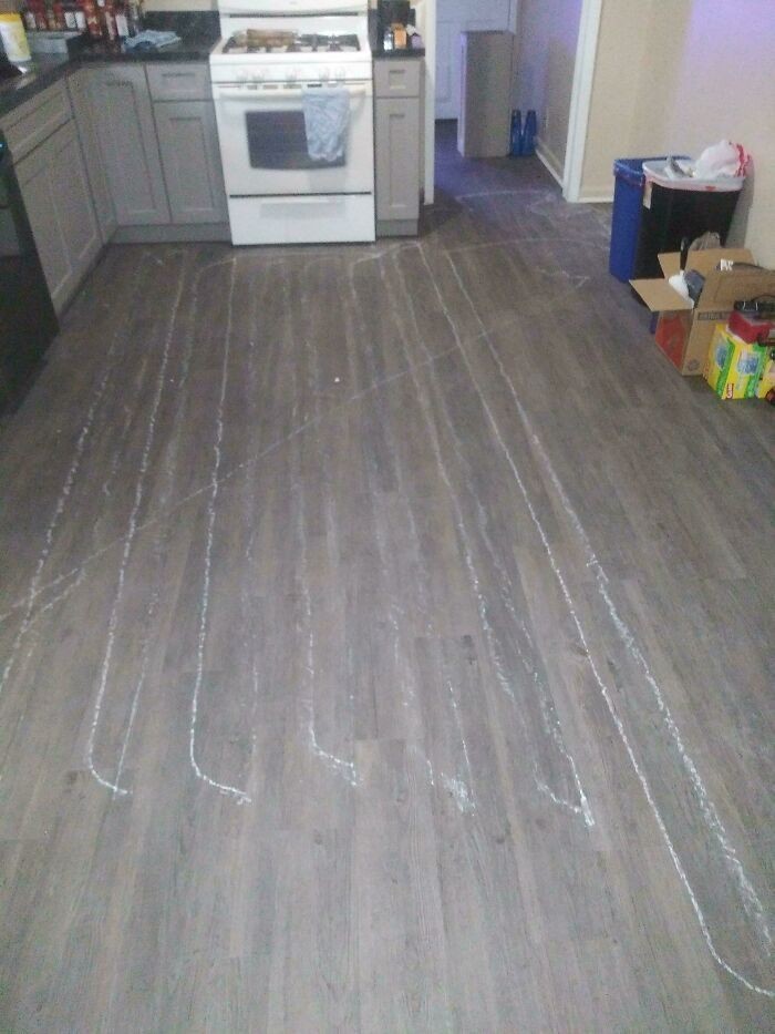 „Robię remont i mój Roomba znalazł malutki kawałek płyty gipsowej.”