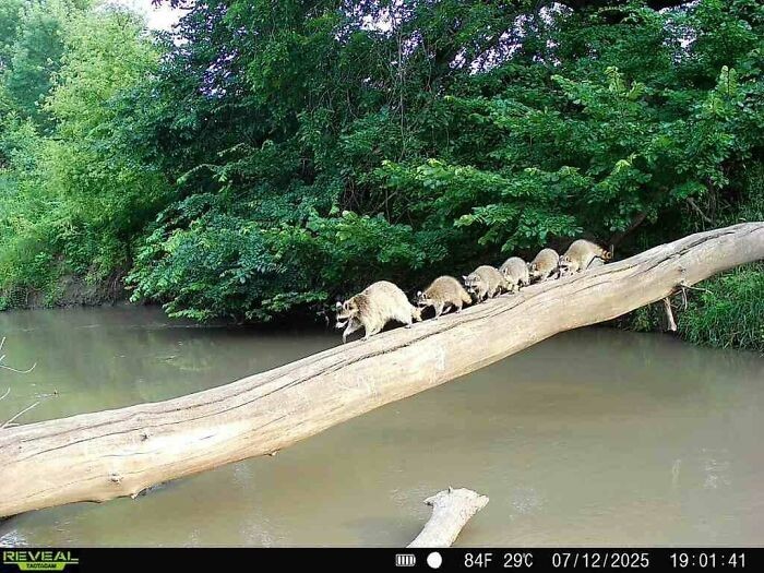 #2 Jedno kapitalne zdjęcie