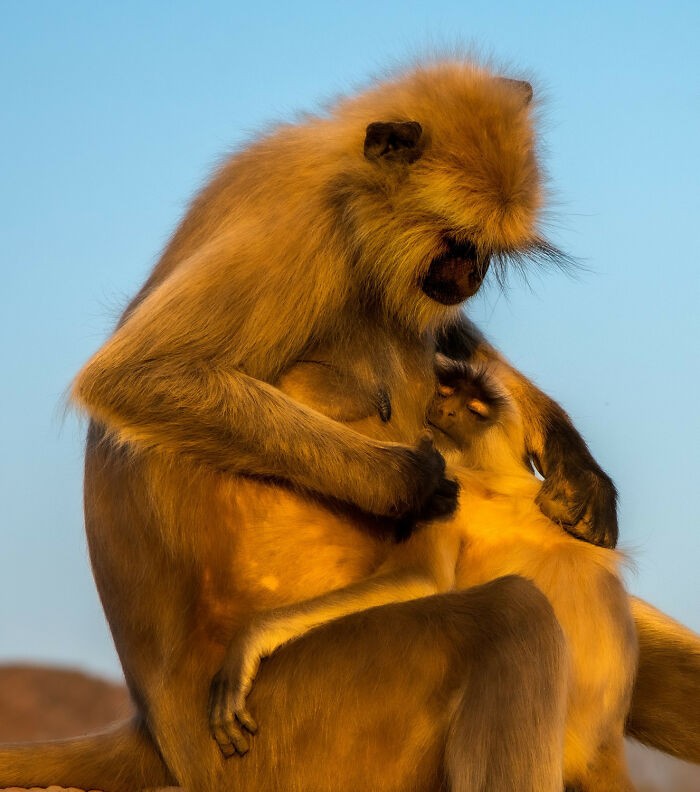 #1 “Matczyna miłość”⁠ autorstwa @woetgallery