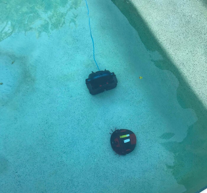 Żona zostawiła otwarte drzwi do ogrodu gdzie mamy basen . Drogi robot sprzątający (do góry nogami) postanowił poznać basenowy odkurzacz