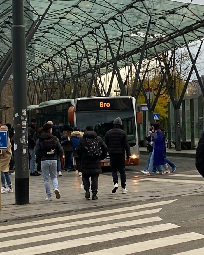 Znak na przystanku mówi jedno, rzeczywistość drugie, a ludzie i tak czekają.