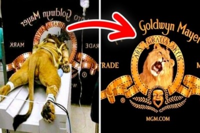 Niezwykłe fakty o logach znanych marek! Nawet nie przeszło Ci to przez myśl gdy na nie patrzyłaś!