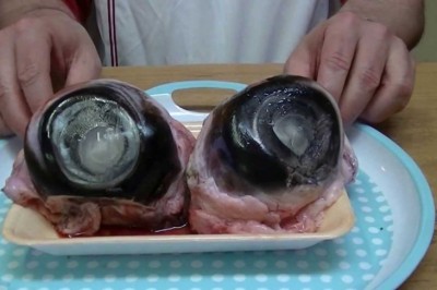 10 najbardziej szokujących potraw ze świata. Ostatnich trzech bym nawet nie tknęła! 