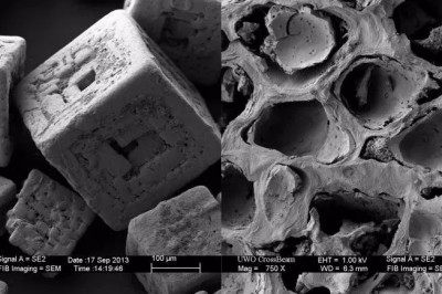 10 rzeczy codziennego użytku widziane pod mikroskopem. Zaskakujące obrazy!