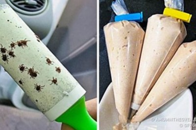 14 pomysłów na nietypowe zastosowanie przedmiotów codziennego użytku! Ułatwi Ci to życie! 