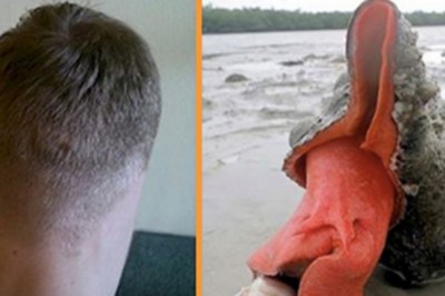 17 pozornie normalnych zdjęć które sprawią, że rozboli Cię mózg! 10 naprawdę ciężko wyjaśnić! 