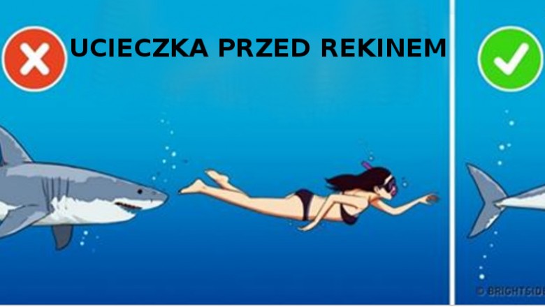 18 faktów które zupełnie Cię zaskoczą! W pierwszej chwili stwierdzisz, że to nie możliwe!