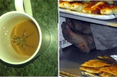 18 zdjęć które skutecznie zniechęcają do życia! To się zdarza prawdziwym pechowcom! 