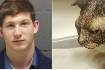 19 latek oblał kota benzyną i podpalił! Jednak to nie był koniec jego strasznych pomysłów! 