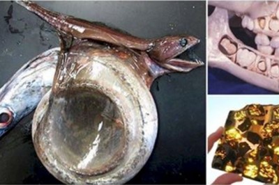 23 zapierające oddech zdjęcia których większość ludzi w życiu nie widziała! 8 Cię zaskoczy! 