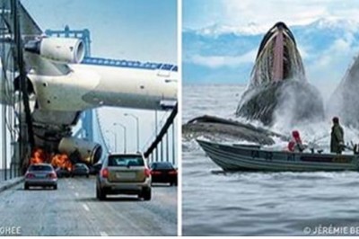 30 zdjęć wykonanych w Idealnej chwili! Ciężko uwierzyć jak to uchwycili! 