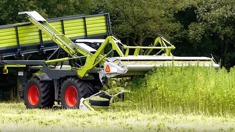 A konopie zbieram sobie własnie tak! Taka praca to ja rozumiem!