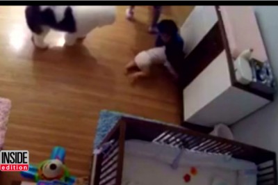 Było o krok od tragedii ale zdążył! Zobacz jak 9 letni chłopiec ratuje 11 miesięcznego brata przed upadkiem!