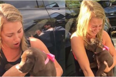 Cieszyła się z podarowanego pieska! Jednak gdy przeczytała co ma na obroży... zalała się łzami!