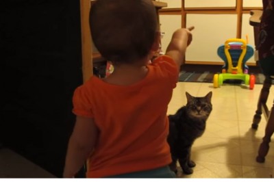Dziewczynka i kot mają niesamowity poranny rytuał! Zobacz co uchwyciła kamera taty! 