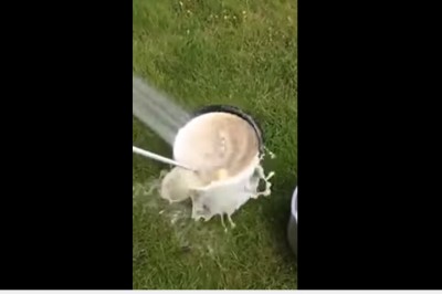 Genialny patent dla leniwych! Jak w 40 sekund obrać wiadro ziemniaków?