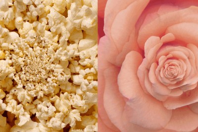 Hipnotyzujące ruchome obrazy polskiego artysty! Genialne pokazanie nieskończonego piękna!