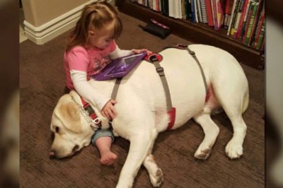 Jak on to wyczuł? Pies szalał w domu przestraszona mama dzwoni do szkoły zapytać czy z córką wszystko ok!