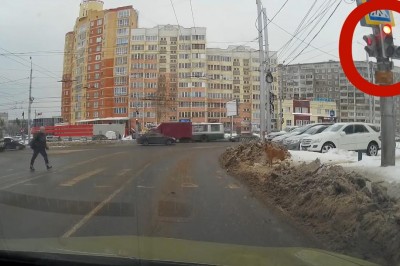 Jak przejść przez ulicę na światłach? Pies potrafi zachować się lepiej niż człowiek! 