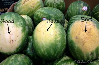 Jak wybrać idealnego arbuza? 5 skutecznych porad dzięki którym wybierzesz najsmaczniejszego! 