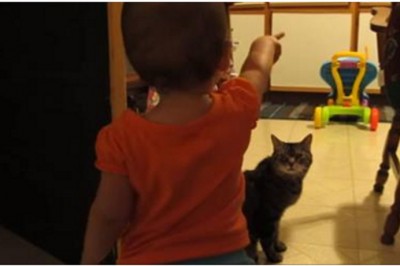 Jego córka co rano robiła coś dziwnego z kotem! Postanowił zamontować ukrytą kamerę i się dowiedzieć!