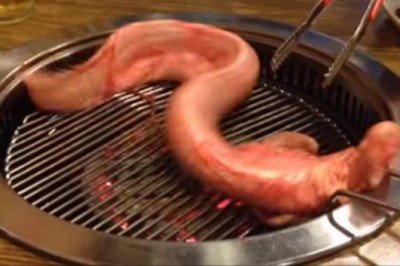 Klienci restauracji zaczęli panikować! Martwy węgorz ożył gdy kucharz posypał go solą!