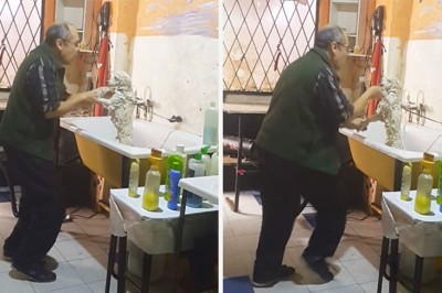 Kobieta po cichu nagrywa pracownika salonu dla psów! Nie uwierzysz na czym go przyłapała! 