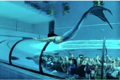Ludzie zatrzymywali się zszokowani! Prawdziwa syrena pływająca w największym akwarium świata!