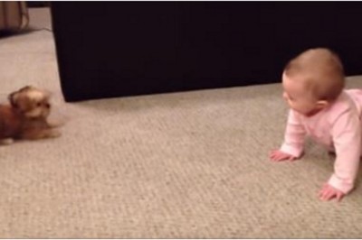 Mała dziewczynka zaczyna się sprzeczać z pieskiem! Padniesz gdy usłyszysz co jej odpowiedział!