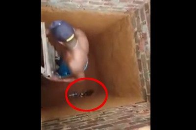 Mężczyzna schodzi do studni uratować kota! Nagle zwierzak zaczyna się zachowywać bardzo dziwnie! 